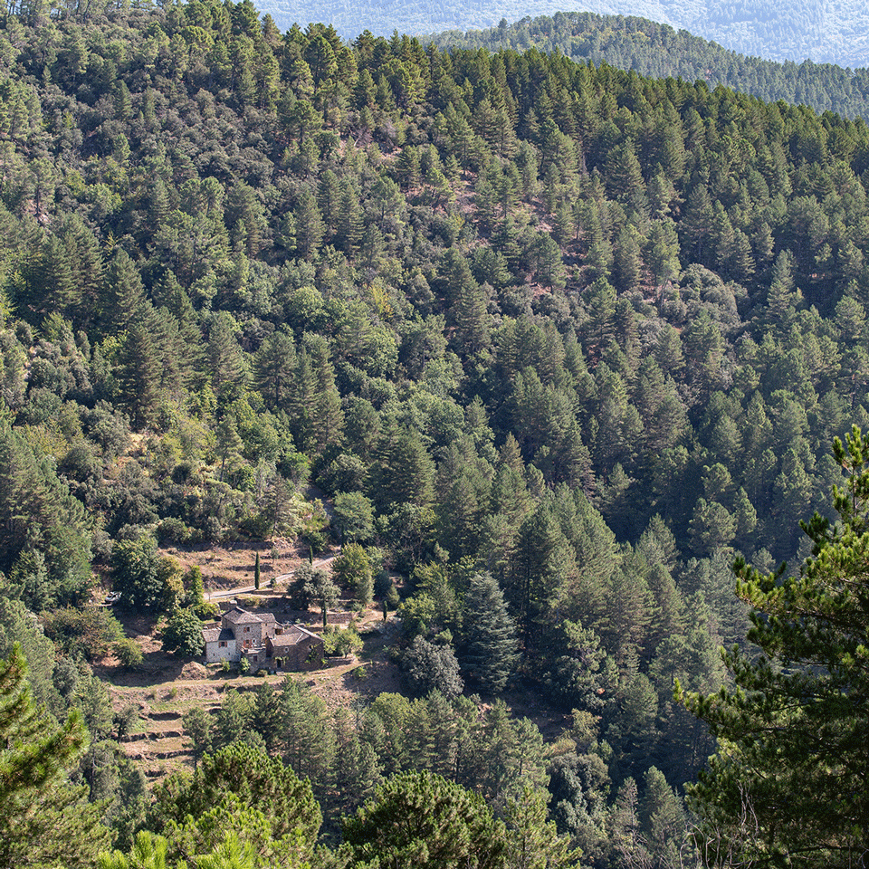 Mas Les Vignes, L’Heure Vide