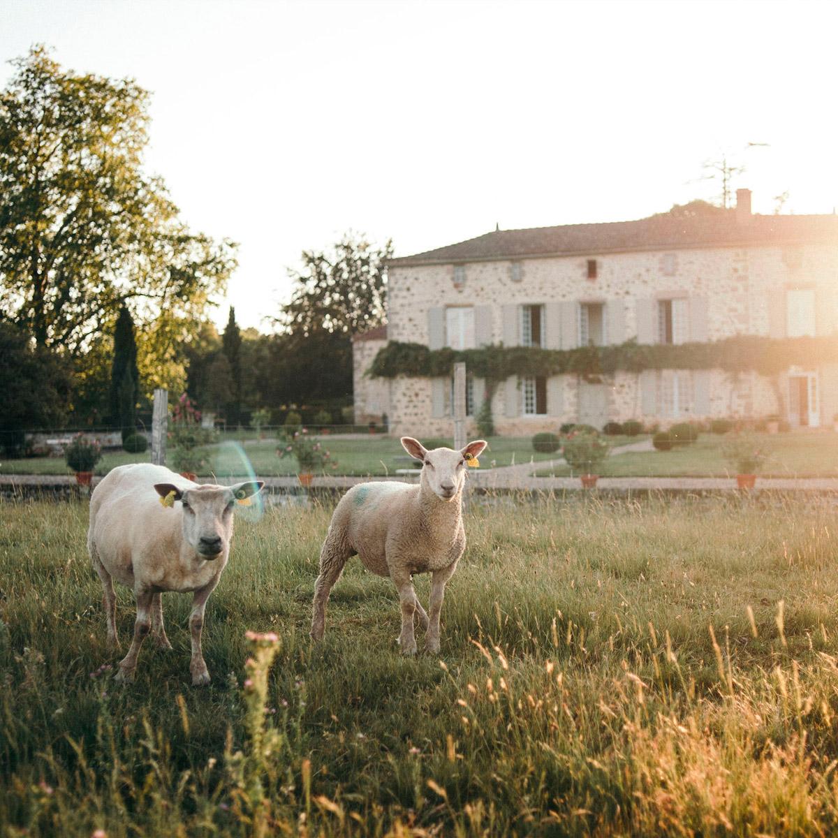Domaine de la Partoucie