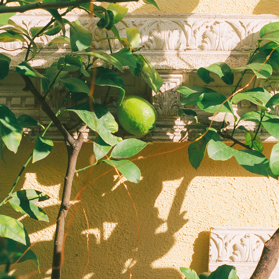 Casa d’Anna ai Cristallini